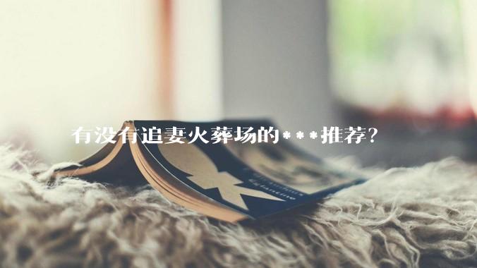 有没有追妻火葬场的***推荐？