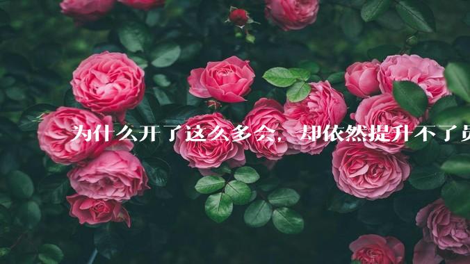 为什么开了这么多会，却依然提升不了员工的***？