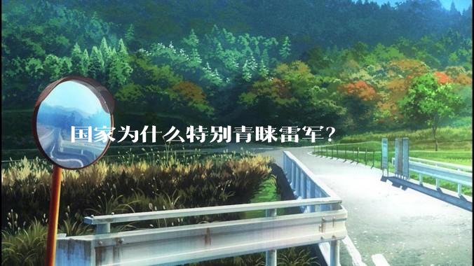 国家为什么特别青睐雷军？