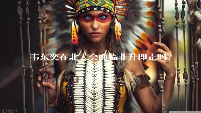 韦东奕在北大会面临非升即走吗？