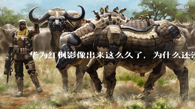 华为红枫影像出来这么久了，为什么还没有友商跟进？是不是说明这是一项可有可无的技术？