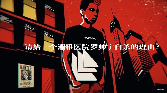 请给一个湘雅医院罗帅宇自杀的理由？