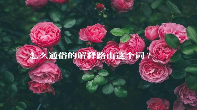 怎么通俗的解释路由这个词?