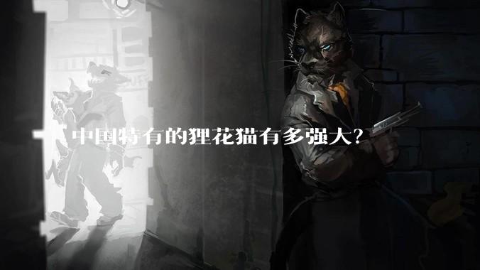 中国特有的狸花猫有多强大？