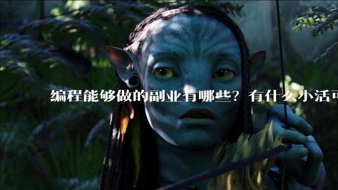 编程能够做的副业有哪些？有什么小活可以做？