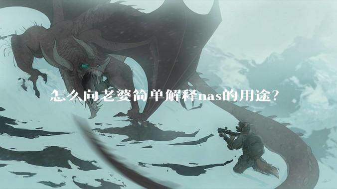 怎么向老婆简单解释nas的用途？
