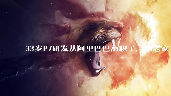 33岁P7研发从阿里巴巴离职了，回老家当个老师怎么样？