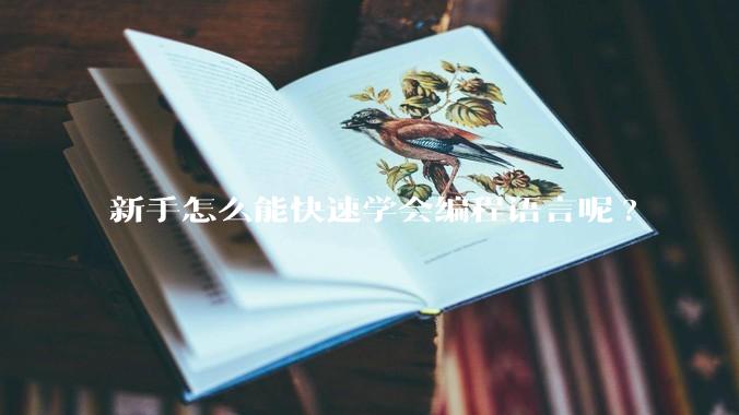 新手怎么能快速学会编程语言呢?