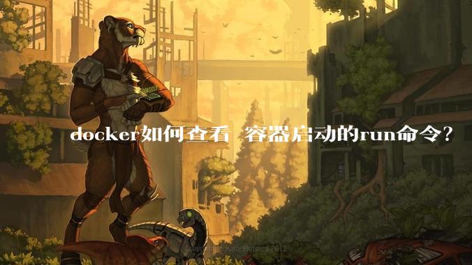 docker如何查看 容器启动的run命令？