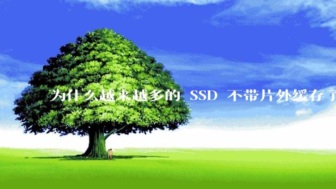 为什么越来越多的 SSD 不带片外缓存了？
